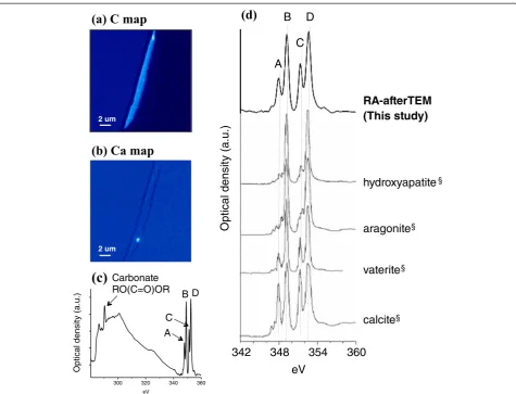 Figure 5 Elemental maps. Elemental maps of (a) carbon and (b) calcium for RA-QD02-0120-afterTEM (RA-afterTEM) that identify calcium spotwithin the carbonaceous particle