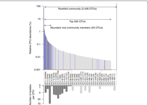 Fig. 5 Mapping of reference stock bacteria to root microbiome OTUs. Theas in the upper graph to indicate the relative abundance of each OTU