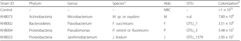 Table 2 Bacterial strains used in the microcosm experiments