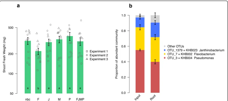 Fig. 6 Functional analysis of a simplified Trifolium root microbiota in microcosms. a Trifolium growth in microcosms in the absence of inoculatedbacteria (nbc no-bacteria control), with specific strains (F Flavobacterium KHB002, J Janthinobacterium KHB023,