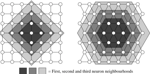 Figure 1: The SOM Lattice. Lattices are either rectangular or hexagonal; this in turn determines how many neurons lie in each neighbourhood