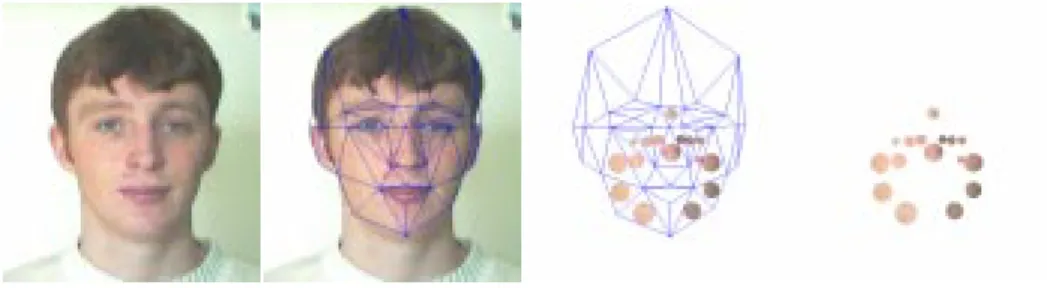 Figure 2: Skin pixel sampling. Areas within certain landmark triangles are assumed to contain skin.