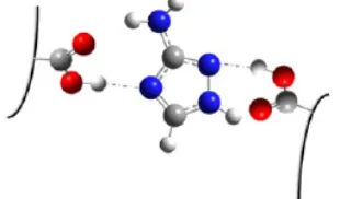 Fig. 1. Adsorption of Amitrole on Humic Substances