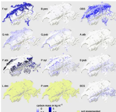 Figure 6. Carbon mass simulated with the adjusted parameter setfor single species at 2000
