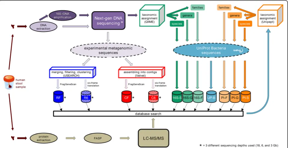Fig. 1 Design of the human stool sample experiment. Database-related acronyms contained into colored cylinders correspond to those indicated in Fig