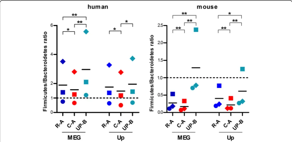 Fig. 6 Functional annotation of human and mouse gut metaproteomic data obtained using different databases