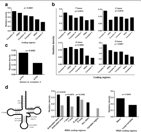 Fig. 3 Functional unit-specific selection on tumor somatic mtDNA mutations in coding regions.bp length) in different coding regions