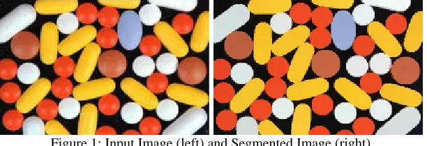Figure 1: Input Image (left) and Segmented Image (right)  