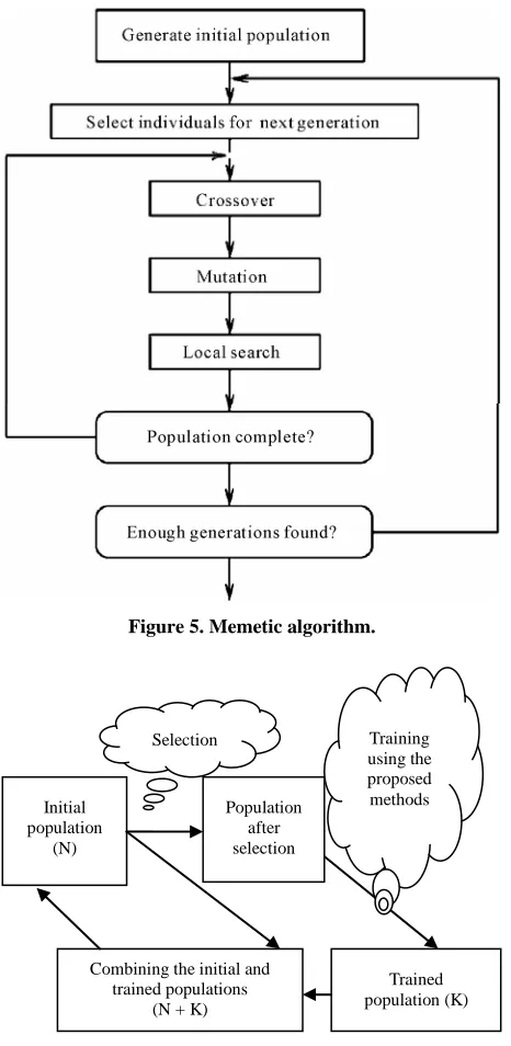 Figure 5. Memetic algorithm. 