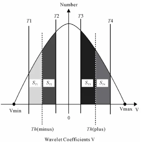 Figure 3. Schematic diagram of the histogram of MRR wavelet coefficients.  