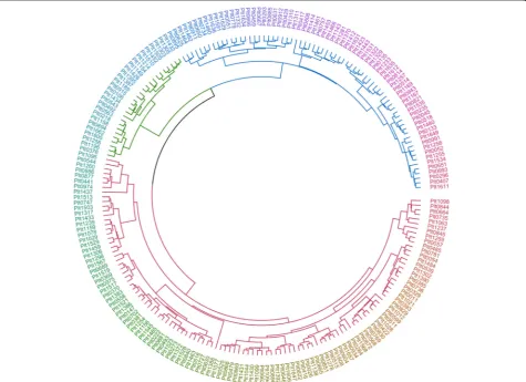 Fig. 1 Ward’s cluster analysis indicates that the samples (n = 211) grouped into three clusters based on 19 grain quality attributes: n1 = 114 (red),n2 = 70 (blue), n3 = 27 (green)