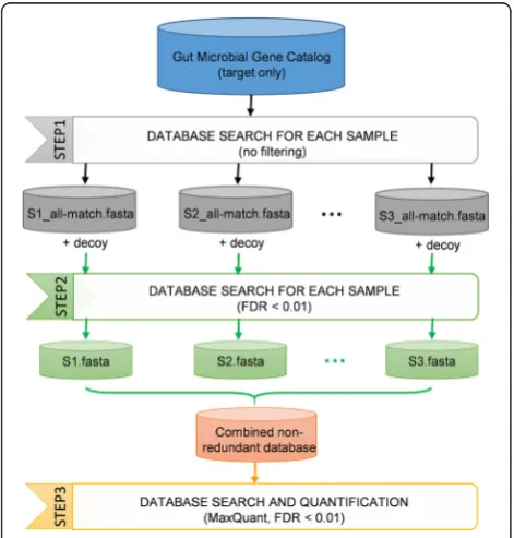 Fig. 1 Overview of the MetaPro-IQ approach. The human or mousegut microbial gene catalog is freely downloadable online [20, 24].For the first two steps of the database search, each of the sampleswas processed individually