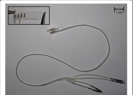 Figure 1 The CWRU spiral nerve-cuff electrode. The CWRU four-contact spiral nerve-cuff electrode was implanted around bilateralfemoral nerves to stimulate the knee extensor muscles