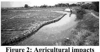Figure 2: Agricultural impacts 