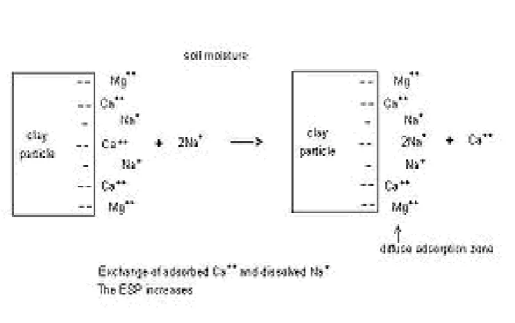 Figure 3: Soil Alkalinity 