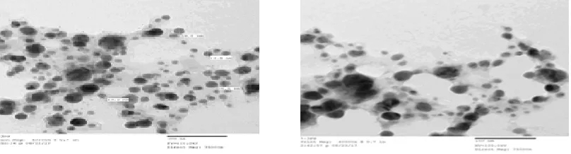 Fig. 4. IR Spectra of  silver nanoparticles AgNPs 