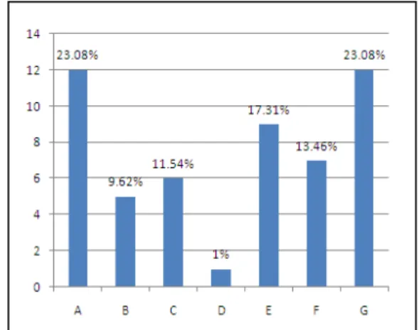 Figure 2: Histogram Showing Categorization of Problems  Identified 