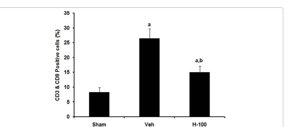 Figure 3 Proinflammatory cytokine and ICAM-1 expression levels in striatum/cortex of the ipsilateral brain after ischemia followed byto other groups;two different experiments