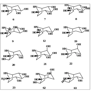 Figure 11 . Calystegines: A3 (6); B2 (7); C1 (8); C2 (9); B1 (12);  A5 (19); B3 (20); B4 (21); A7 (22); N1 (23); B5 (62); A6 (63)