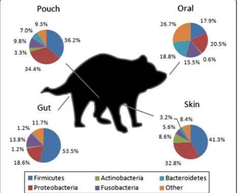 Fig. 1 Baseline characterisation of gut, skin, pouch and oral microbiomein the Tasmanian devil