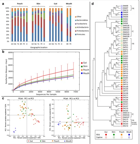 Fig. 2 Overall comparisons between gut, skin, pouch and oral microbiome.across all samples