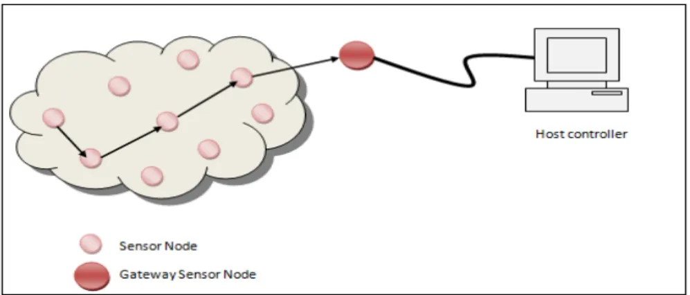 Figure 1.  Example of a Wireless Sensor Network