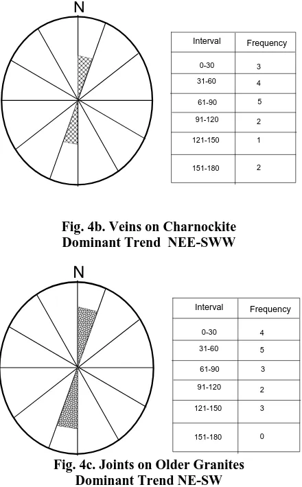 Fig. 4b. Veins on Charnockite  Dominant Trend  NEE-SWW 