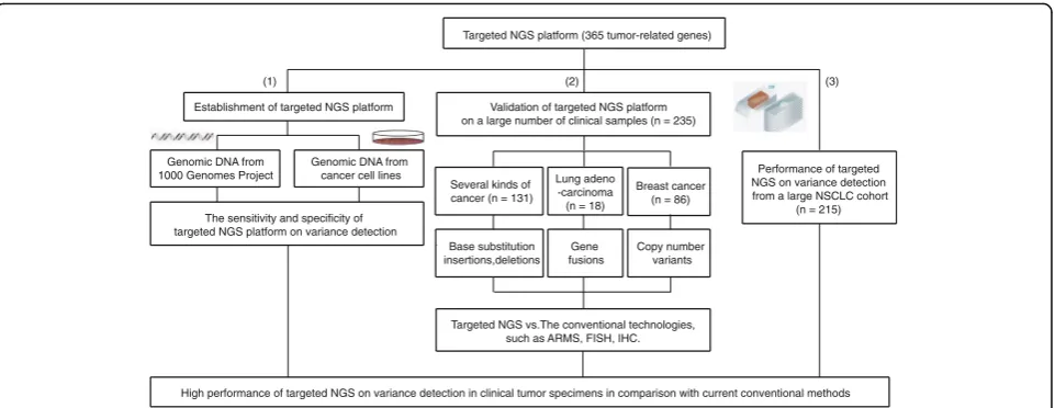 Fig. 1 The summary of this study. First step:The genomic DNA from 1000 Genomes Project and the genomic DNA from cancer cells were used to setup basic parameters of targeted NGS platform; The second step: The validation of targeted NGS platform was performe