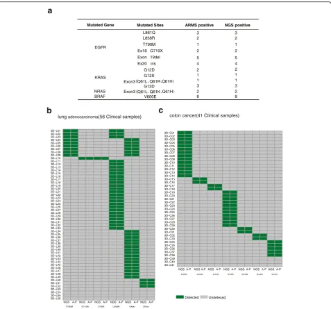 Fig. 3 Targeted NGS to identify base substitutions and Indels from clinical specimens