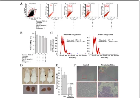 Fig. 5 Exosomes internalization blockage inhibited target cells transformation.viability