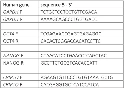 Table 2-2: Human gene-specific primers 