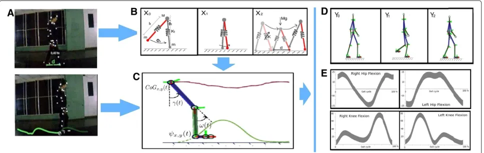 Figure 1 Pipeline of the proposed model.allows to simulate Normal and Pathological patterns (Panels Firstly the CoGx,y(t) from the proposed physical model is computed (panel (B))