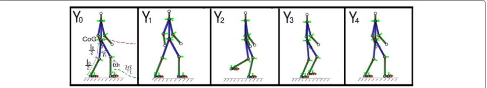 Figure 2 The Figure shows the human-like leg structure used to simulate the set of kinematic patterns