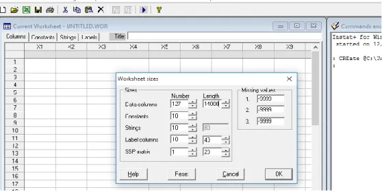 Figure 4-1: Resizing the Instat Worksheet 