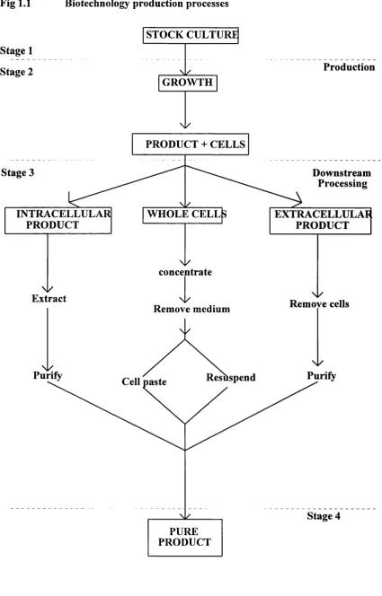 Fig 1.1 Biotechnology production processes