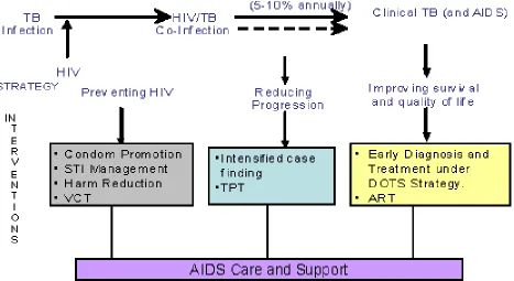Figure 4: Combating TB/HIV: The conceptual framework and intervention points (Jai et al., 2004)