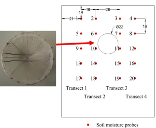 Figure 2. Scheme of the experimental plot displaying the position of TDR probes at each observation node and the vertical intersection 1, 2, 3, 4