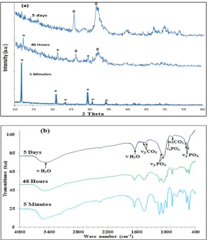 Fig. 3. TEM micrographs of the cement sample (a) and bio-