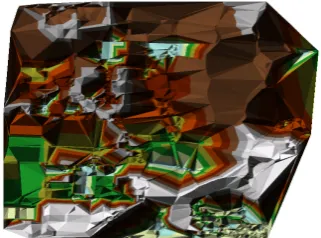 Figure 2. TIN. 