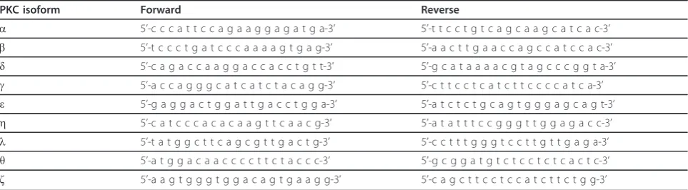 Table 1 Primer sequences of mouse PKC isoforms.