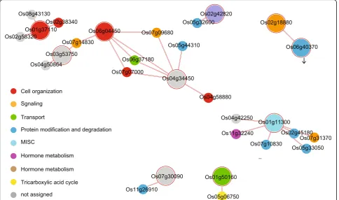 Fig. 4 Proposed functional network of root hair-preferential genes. Networks were refined by showing nodes with PCC values > 0.5