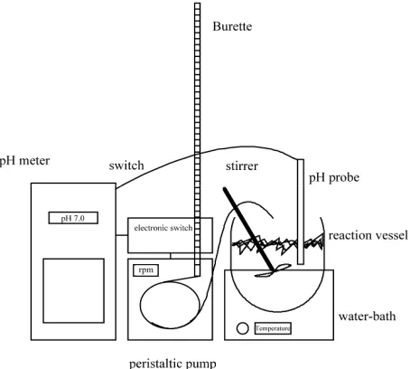 Figure 1. Equipment for the proteolytic hydrolysis in the laboratory and the application of the pH-stat technique