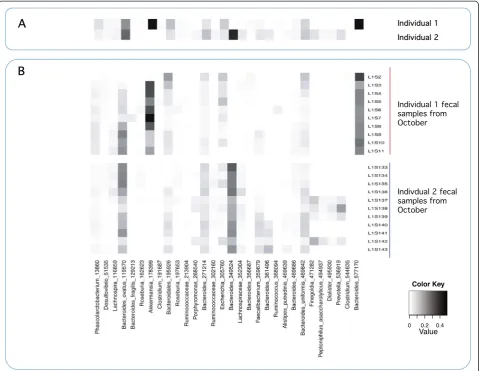 Figure 3 Heatmap showing the contributions of particular OTUs that characterize fecal samples of individuals 1 and 2