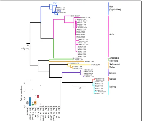 Figure 8 CK-1C4-19 taxa are phylogenetically distributed by host and habitat. The V3-V4 regions from publically available 16S rDNAsequences assigned to the candidate division CK-1C4-19 were aligned with CK-1C4-19 sequences found in the fathead minnow gut (