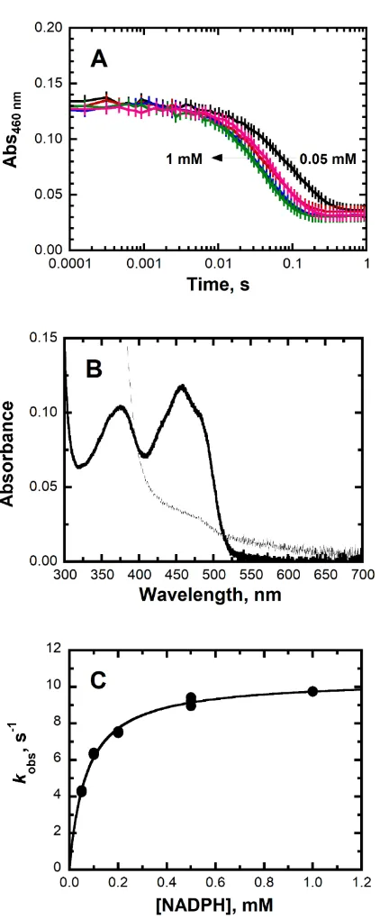 Figure 5: Reductive half-reaction of PA1225 with NADPH at pH 6.0. (A) Stopped-flow traces of PA1225 at 460 nm with increasing NADPH concentrations, log time scale fit, and fit of the data to Eq 1
