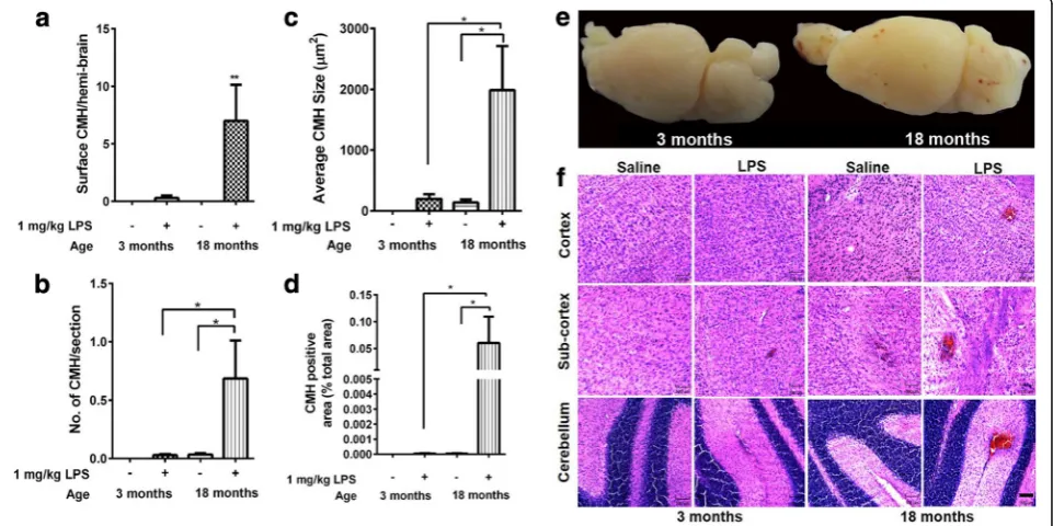 Fig. 1 Surface and acute H&E-positive cerebral microhemorrhages (CMH). No development of surface CMH in young and aged saline-treated micesaline-treated mice (size, and total area of acute parenchymal CMH in LPS-treated aged mice compared with LPS-treated 