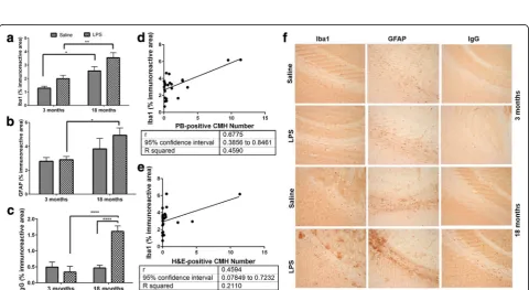 Fig. 2 Sub-acute Prussian Blue (PB)-positive cerebral microhemorrhages (CMH). Significantly higher number of PB-positive lesions in LPS-treatedyoung (n = 10) and LPS-treated aged mice (n = 15) compared with their respective saline controls (n = 10 per grou