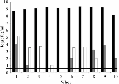 Figure 1. Cellular levels of lactococci (■and lactobacilli (ples. The microflora detection level (), enterococci (■) □) in the 10 successive whey starter sam-▬) was 1 log(cfu)·ml−1