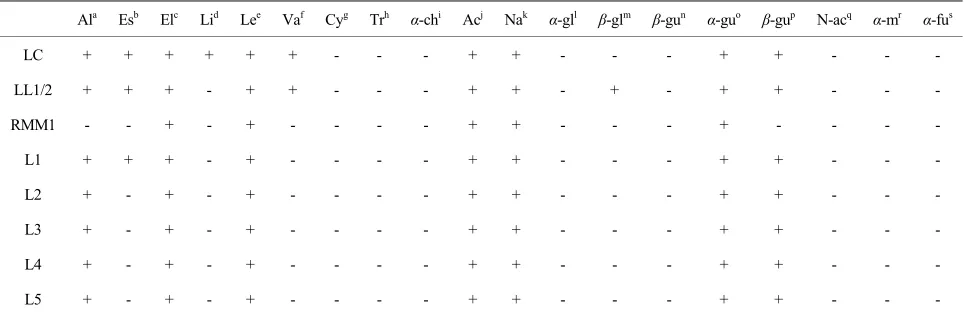 Table 1. Enzymatic profiles of some lactococci strains. LC:  L. lactis subsp. cremoris; LL1/2: L