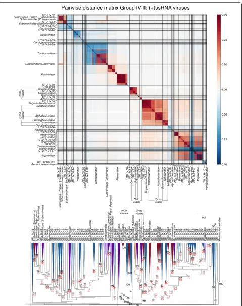 Fig. 8 Genome relationships of metagenomic-derived viruses in Baltimore group IV, part 2 (see legend to Fig